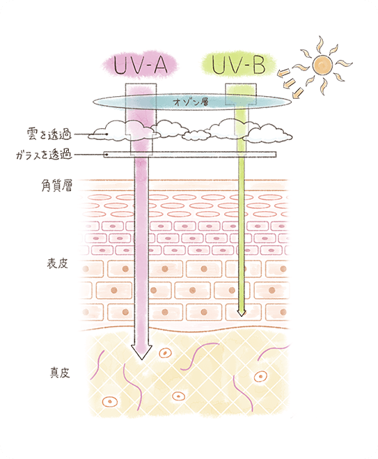 日焼け止めクリームを積極的に活用